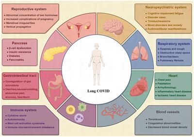 COVID-19 and persistent symptoms: implications for polycystic ovary syndrome and its management